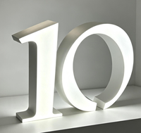 Lettres lumineuses 3D en résine époxy LED, étanches IP65, alimentées par transformateur AC, pour enseignes extérieures de voitures et d'entreprises