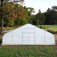 Serre moderne en acier galvanisé PE film 30x30ft 9x9m Serre personnalisée en polyéthylène pour plantation facile à assembler en extérieur