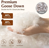 Oreiller en duvet d'oie, doux, enveloppe 100% coton, collection hôtel, 900+ puissance de rembourrage, oreiller de luxe en plumes pour lit