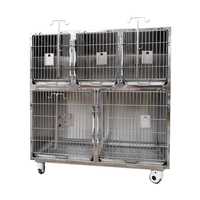 Cage d'injection pour animaux (lapins, chats) avec plateau de récupération des excréments, équipement vétérinaire pour cliniques et hôpitaux Eurpet