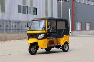 Triciclo elettrico Tuk-Tuk risciò veicolo passeggeri motorizzato con tipi di carrozzeria aperta per adulti - Product Image 3