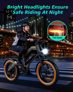GYebike GYD2020 Dirt Bike With <b>Battery</b> 48v 750w 20nch and Front Fork With Front and Rear Disc - Product Image 6