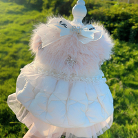 Robes classiques brodées de qualité supérieure pour chiens, chats et mini-animaux de compagnie, en polyester respirant et confortable, style princesse, pour l'export.