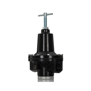 ตัวควบคุมการไหลสูงรุ่นดั้งเดิมและรุ่นใหม่ 20AG รุ่น 20AG-X8G-PH100 - Product Image 1