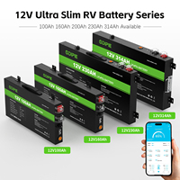 Batterie LiFePO4 ultra-mince OEM 12V 100Ah 160Ah 200Ah 230Ah 300Ah 314Ah pour le camping en désert, les overlandings et les camping-cars