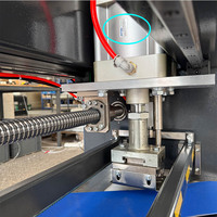 LOYICN LYAP2000 Machine de poinçonnage automatique à deux cylindres mécaniques contrôlée par PLC avec convoyeur de 2000 mm de large