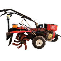 Small Agricultural Rotary Tiller, Mini Cultivator