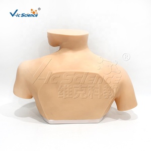 Maniquí <span class=keywords><strong>de</strong></span> Entrenamiento Transparente <span class=keywords><strong>de</strong></span> Tamaño Real para Adultos, para Cateterismo <span class=keywords><strong>Venoso</strong></span> <span class=keywords><strong>Central</strong></span>, Habilidades <span class=keywords><strong>de</strong></span> Enfermería, con Certificaciones CE, ISO, ROHS y CNAS - Product Image 4
