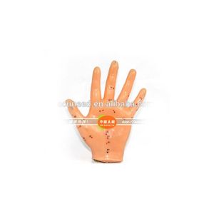 Modelo de Mão para Acupuntura Chinesa 13cm Modelo de Ponto de Acupuntura do Corpo Humano - Product Image 2