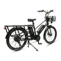 Vélo cargo électrique TXED 24 pouces avec cadre en alliage, batterie au lithium 48V, moteur 250W 500W 750W, frein à disque, vélo de livraison électrique, vélo cargo électrique