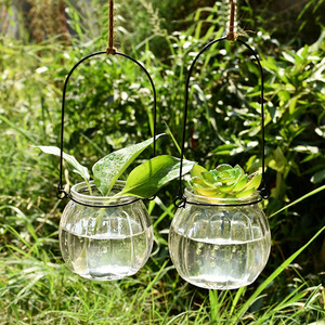 Hanging Transparent Glass <b>Vase</b> <b>Mini</b> Pumpkin Shape Simple Hydroponic Planter For Indoor Gardening Home Decoration - Product Image 3