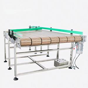 Transportador de Corrente Plana de Plástico/SUS304 para Garrafas / Bebidas / Perfumes / Indústria Alimentícia - Product Image 6