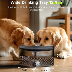 All'ingrosso 9L grande fontana automatica muta acqua Pet cane abbeveratoio per due cani - Product Image 3