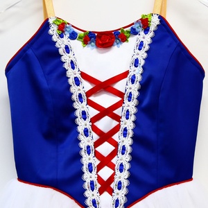 R0090 flammes de <span class=keywords><strong>Paris</strong></span> Ballet romantique Tutu femme blanc bleu rouge Long Tutu - Product Image 4