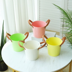 Cổ Điển Cũ Màu Trắng Sắt Chậu Hoa Xô Ban Công Máy Tính Để Bàn Trang Trí Thịt Nhà Máy Thư Sắt Hoa Xô Mạ Kẽm Bộ Vườn - Product Image 3