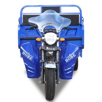 En İyi Fiyat Benzinli Üç Tekerlekli Motosiklet Açık Kasalı 3 Tekerlekli Motorlu Kargo Aracı DOT Sertifikalı Yüksek Yük Kapasitesi