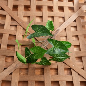 Plante Artificielle CallaFloral Syngonium à 12 Têtes en PVC, Décoration de Mariage, Fournitures Artisanales, Décoration Intérieure Écologique - Product Image 3