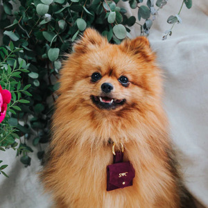 Factory wholesale <b>dog</b> neck ring pouch, romantic wedding ring storage bag, small pouch for storing <b>dog</b> wedding rings. - Product Image 2