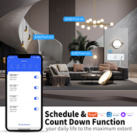 Interruptor de Pared Inteligente Wifi de 3 Botones Táctiles, 2 Enchufes Schuko Europeos con Cargador USB Tipo C, Control por Voz con la Aplicación Tuya Smart Life
