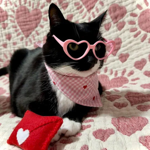 <span class=keywords><strong>Bandana</strong></span> <span class=keywords><strong>pour</strong></span> <span class=keywords><strong>chien</strong></span> et chat en coton imprimé à carreaux vichy avec cœur <span class=keywords><strong>rouge</strong></span> brodé - Taille personnalisée - Collection Saint-Valentin - Product Image 2