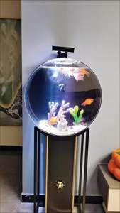 Meest Populair In Aquaria Voor Binnengeschenken Voor Het Nieuwe Jaar Rond Terug Filteren <span class=keywords><strong>Aquarium</strong></span> <span class=keywords><strong>Aquarium</strong></span> <span class=keywords><strong>Aquarium</strong></span> Op Maat <span class=keywords><strong>50</strong></span> <span class=keywords><strong>Liter</strong></span> Jelly Fish Tank - Product Image 6