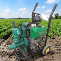 Pompe d'irrigation agricole électrique ultra haute pression refroidie par air 195, 60 CBM/H, 70M de hauteur de refoulement, type chariot, en fer, 25HP 3KW