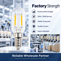 Ampoule LED à filament T22 E14, 2W, 230V, 230LM, verre transparent, 2700K, 6000K, classe énergétique E, certifiée CE UKCA, fabrication OEM ODM