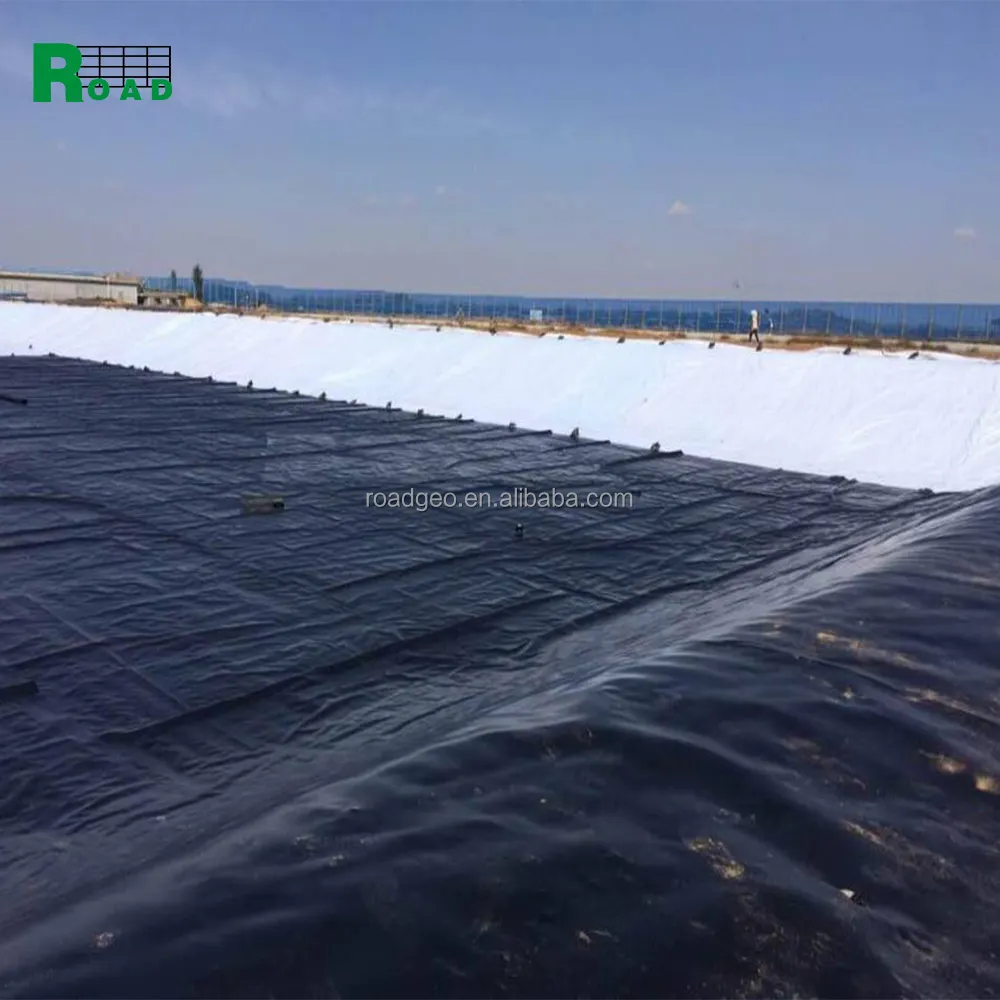 Géomembrane de matériel de HDPE de route de la Chine/géomembrane imperméable de HDPE/revêtement d'étang de ferme de poissons de HDPE