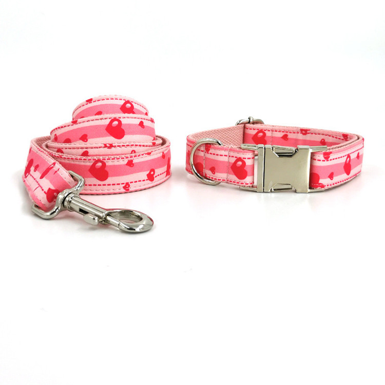 collar with leash 6