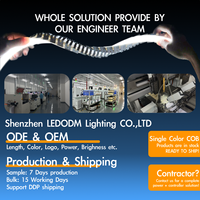 Strip COB LED kepadatan tinggi 12V 24V dapat diredupkan memotong di mana saja CRI 90 + untuk dekorasi rumah kontrol pintar ODM & OEM langsung dari pabrik