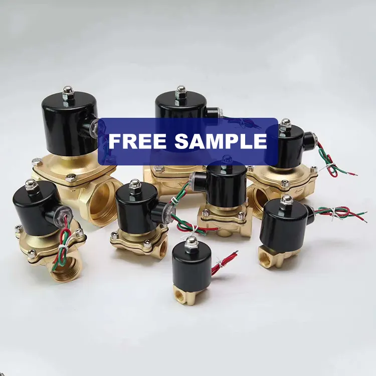 Free sample Normally close electric brass 12v 24v 220V 1 2 3 inch for water control two way magnetic water solenoid valve