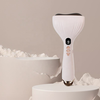 Mini appareil électrique portatif Gua Sha avec pierre de Bian, rechargeable, à vibrations ultrasoniques, pour le soin des yeux et le massage facial