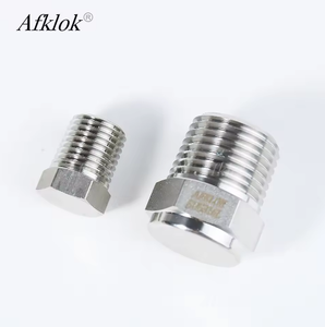 <span class=keywords><strong>304</strong></span> 316 thép không gỉ 1/4 "3/8" Pin <span class=keywords><strong>NPT</strong></span> bspt phù hợp kích thước ống <span class=keywords><strong>Hex</strong></span> đầu chủ đề cắm - Product Image 3