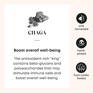 OEM/ODM Polvo de Hongo Chaga, Mezcla Instantánea de Café con Hongos, con Melena de León - Product Image 3