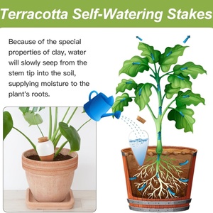 <span class=keywords><strong>Goutteur</strong></span> d'arrosage en <span class=keywords><strong>terre</strong></span> <span class=keywords><strong>cuite</strong></span> pour plantes 2 pcs - Product Image 5