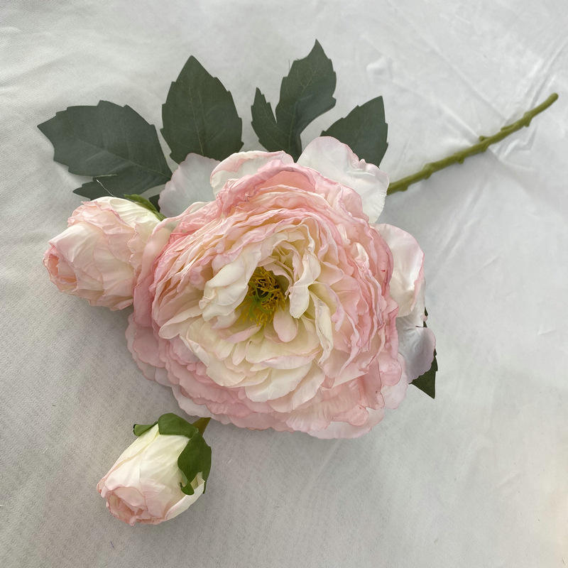 สีชมพูอ่อน