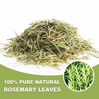 Feuilles de romarin naturelles fraîches de qualité supérieure, herbes aromatiques, thé chinois biologique minceur et bien-être, en vrac, emballage personnalisé en sachet