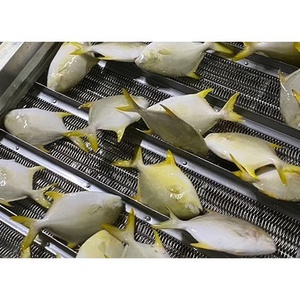 Nuova Stagione in Arrivo a Maggio: Pesce Pomfret Dorato Congelato, Pompano Dorato WR, con Tutti i Tipi di Pesce Fornito - Product Image 3