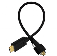 Kabel Data pengisi daya berlapis emas, kabel Data pengisian daya dengan sekrup 10G 5A USB 3.1 tipe-c Male ke USB-C Male