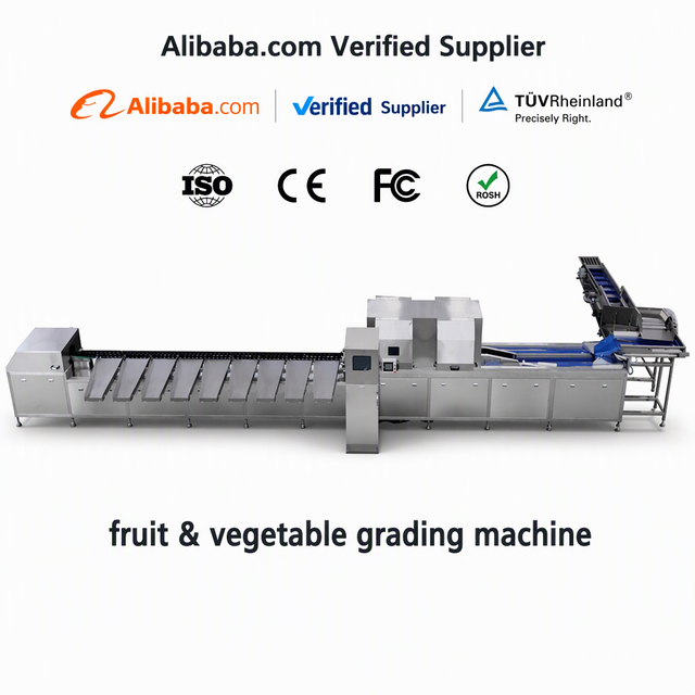 Blueberry Optical Sorter  High-Speed Classification for Juice Manufacturers