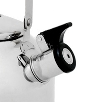 Nouveau design de bouilloire à thé sifflante en acier inoxydable 3,0 L Meilleur vendeur Bouilloire avec eau à induction de qualité alimentaire Capacité de 2,5 L