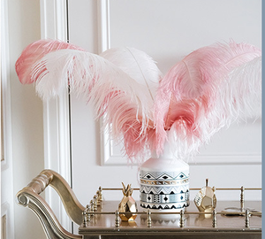 Chất Lượng Tuyệt Vời Trang Trí Đám Cưới Lớn Plumas Đà Điểu Lông Trắng Đà Điểu Lông Lớn Lông - Product Image 6