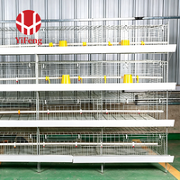 Cage à poulets de chair de type H, cage à batterie pour poulets de chair, 4 niveaux, galvanisée à chaud, ventilation haute densité, CE, bande à fumier, sol en plastique