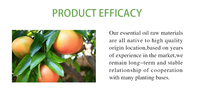 Aceite de Pomelo Prensado en Frío, Aceite Esencial Cítrico Puro para Fabricación de Velas, Perfumes y Productos de Cuidado Corporal, Suministro al por Mayor