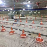 Système d'alimentation automatique pour volailles pour canards