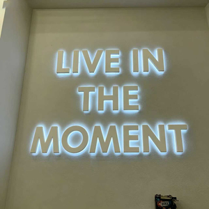 Illuminated 3D Acrylic & Stainless Steel LED Store Front Sign with 2700K Warm White Light Easy Installation for Outdoor Use - Product Image 2