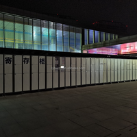 Casier de stockage électronique intelligent extérieur de grande taille de grand compartiment personnalisable pour la gare d'aéroport de centre touristique