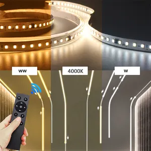 Dual Color CCT Chasing Running Water Warm Cool White Digital Led Strip Flowing CW WW Double Color 24V 2835 LED Strip Lights
