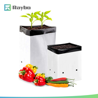 Kantong Tanam Sayuran RAYBO 7L 2 Galon 20+13*27.5cm Tebal 0.12mm untuk Grosir