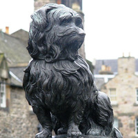 Buste de mouton en bronze, sculpture artisanale, statue en bronze coulée à la main pour décoration de bureau de luxe, vente en gros directe d'usine